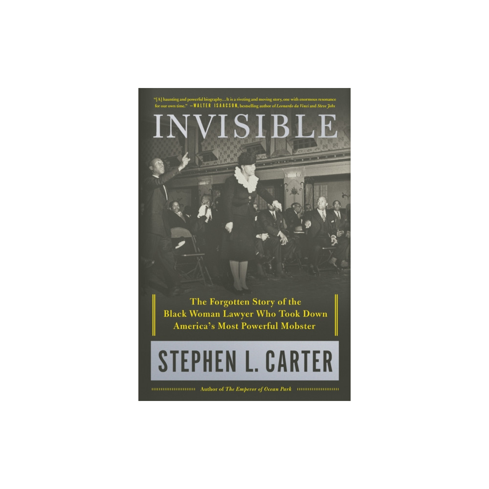 Produktbild för Invisible (inbunden, eng)