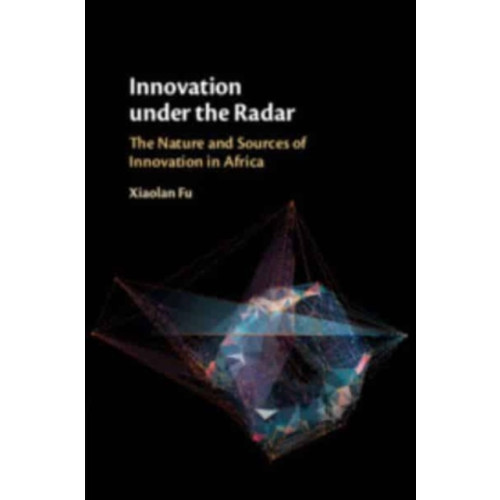 Cambridge University Press Innovation under the Radar (häftad, eng)
