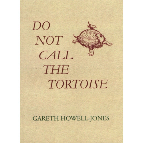 The Cyrus Press Do Not Call the Tortoise (häftad, eng)