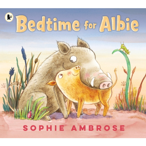 Walker Books Ltd Bedtime for Albie (häftad, eng)