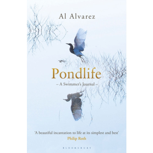 Bloomsbury Publishing PLC Pondlife (häftad, eng)
