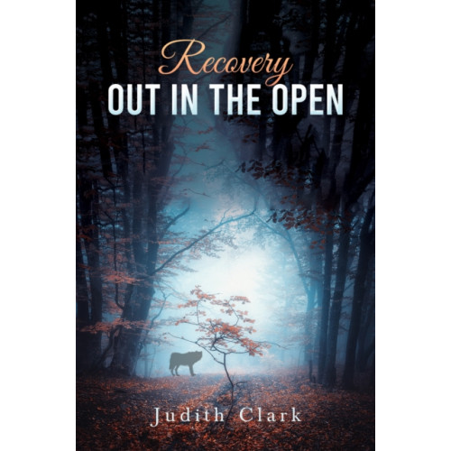 Austin Macauley Publishers Recovery: Out in the Open (häftad, eng)