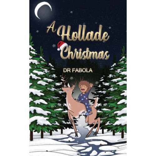 Austin Macauley Publishers A Hollade Christmas (häftad, eng)