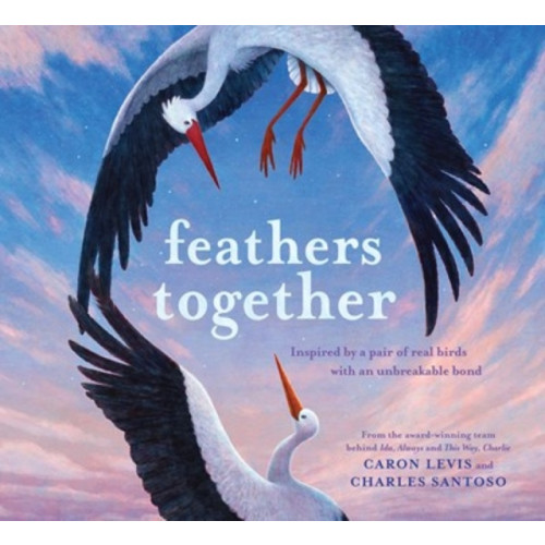Abrams Feathers Together (inbunden, eng)