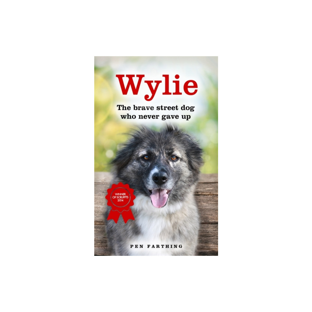 Produktbild för Wylie (häftad, eng)