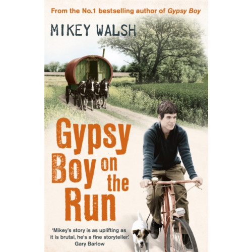 Hodder & Stoughton Gypsy Boy on the Run (häftad, eng)