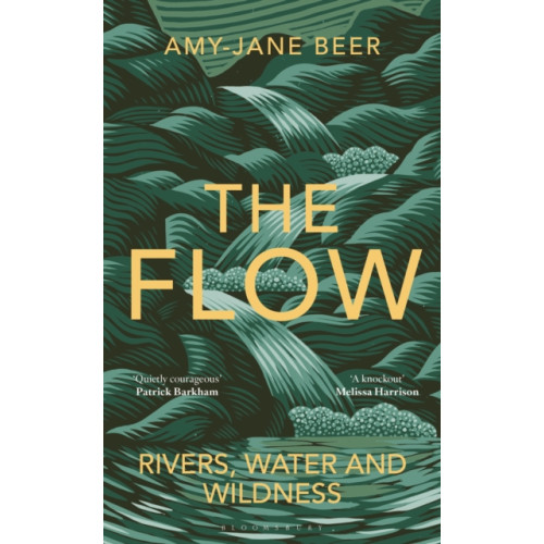 Bloomsbury Publishing PLC The Flow (inbunden)