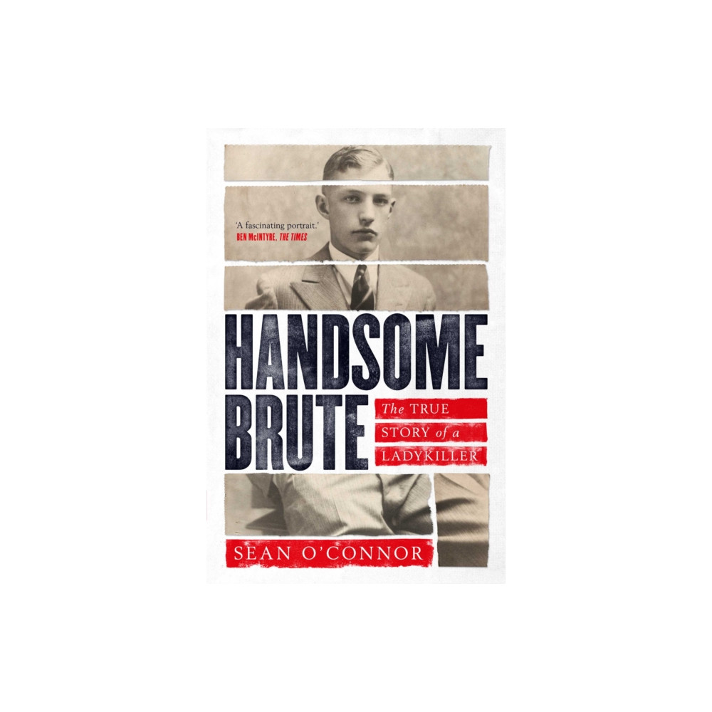 Produktbild för Handsome Brute (häftad, eng)
