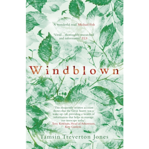 Hodder & Stoughton Windblown (häftad, eng)