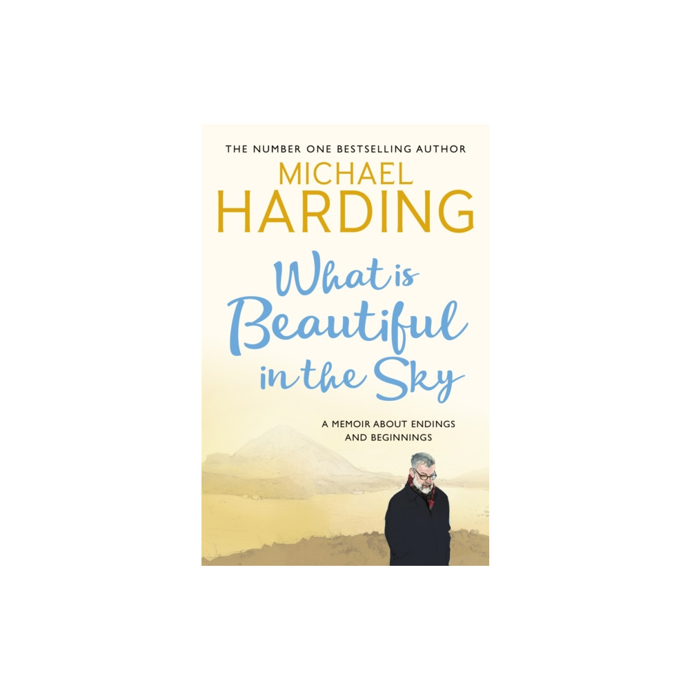 Produktbild för What is Beautiful in the Sky (häftad, eng)