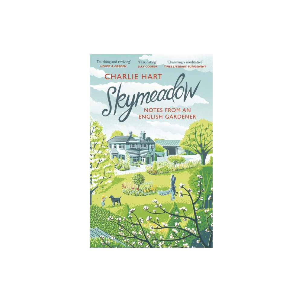 Produktbild för Skymeadow (häftad, eng)