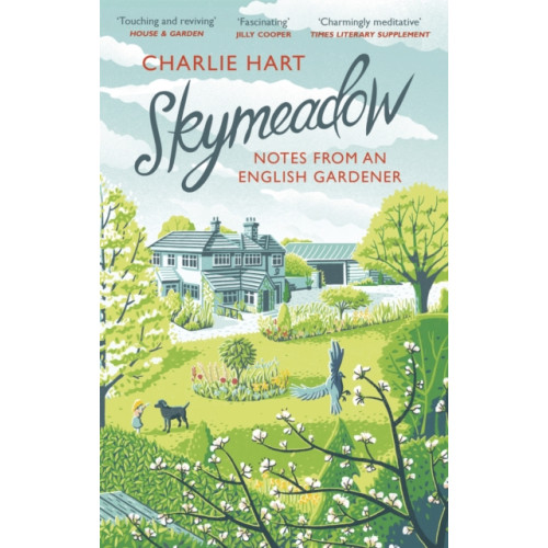 Little, Brown Book Group Skymeadow (häftad, eng)