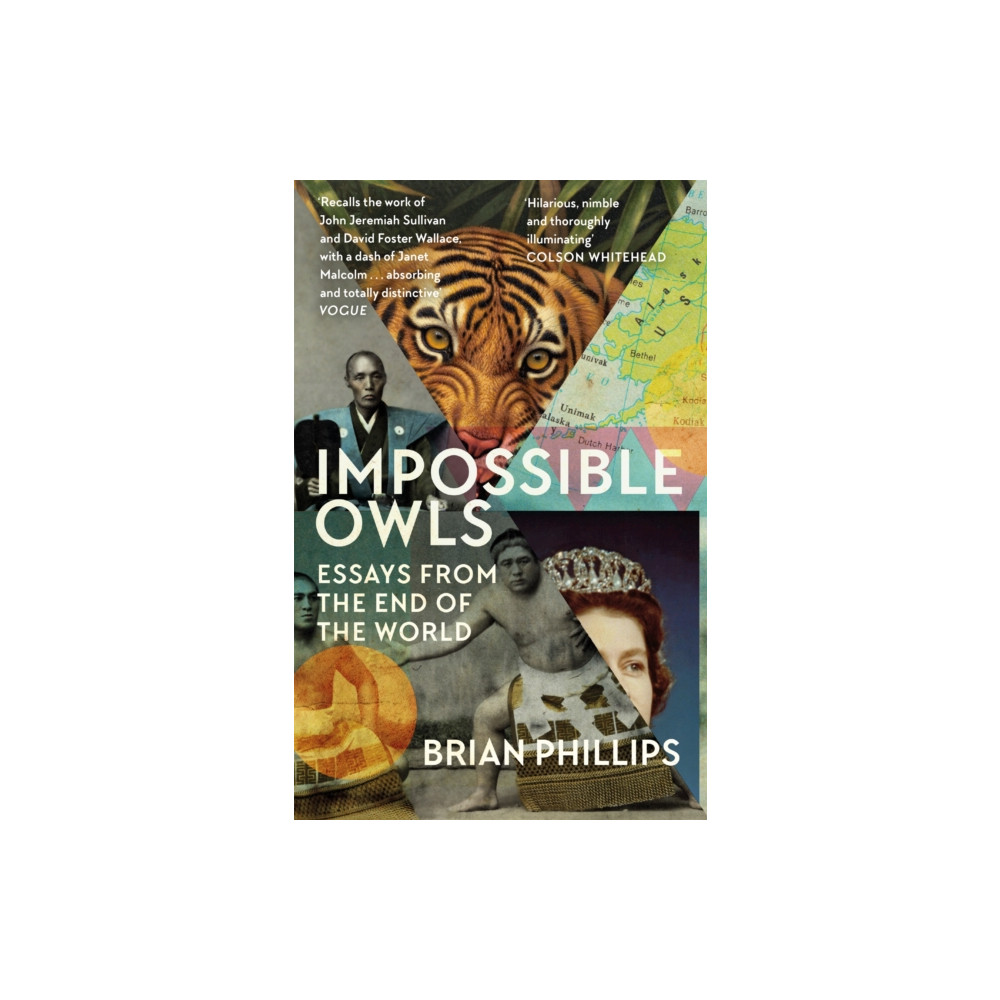 Produktbild för Impossible Owls (häftad, eng)
