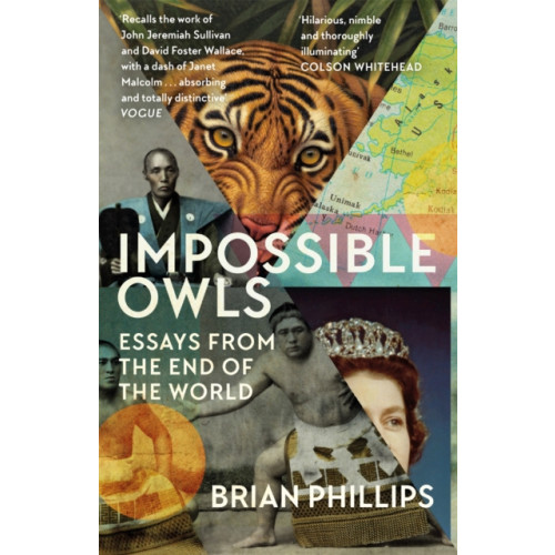 Orion Publishing Co Impossible Owls (häftad, eng)