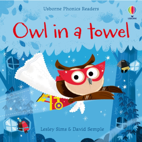 Usborne Publishing Ltd Owl in a Towel (häftad, eng)