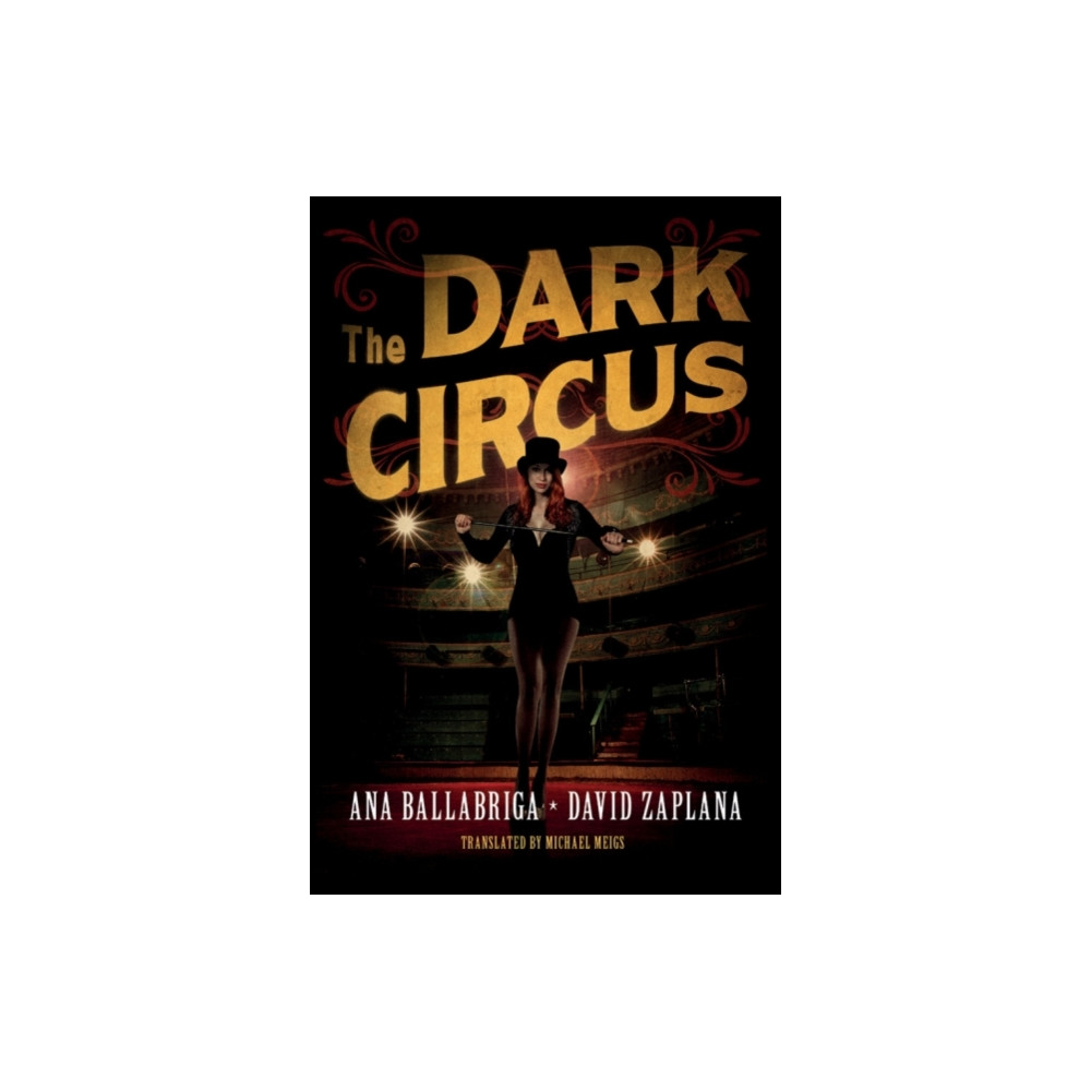 Produktbild för The Dark Circus (häftad, eng)