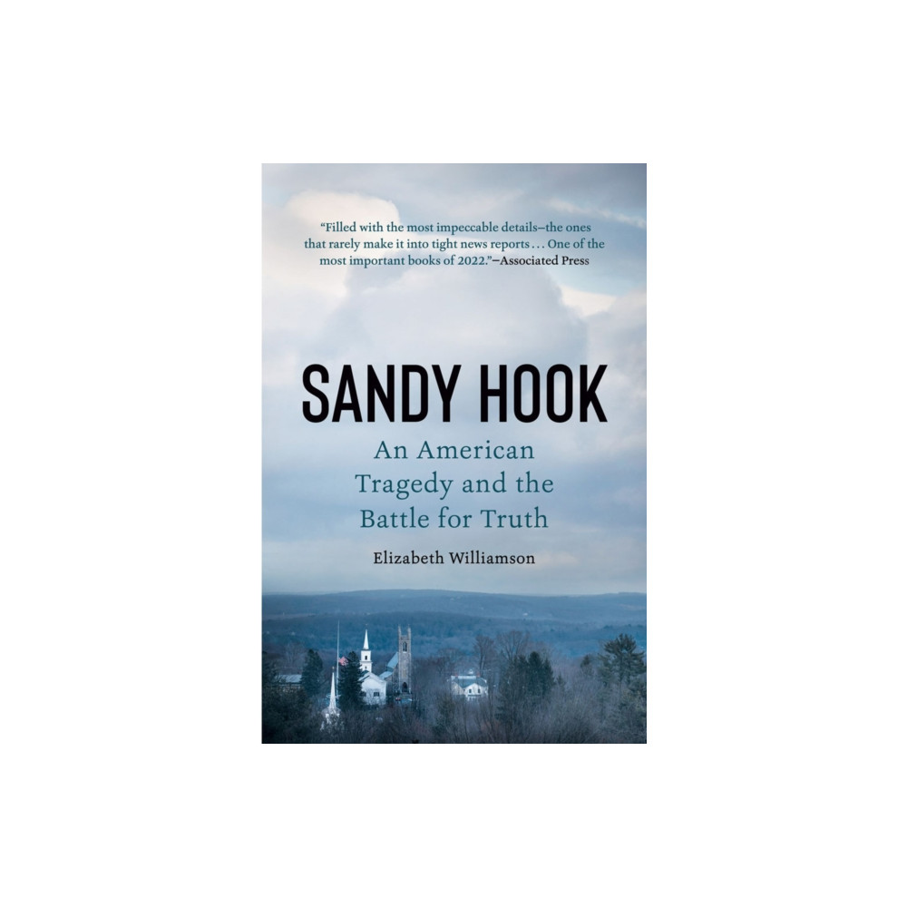 Produktbild för Sandy Hook (häftad, eng)