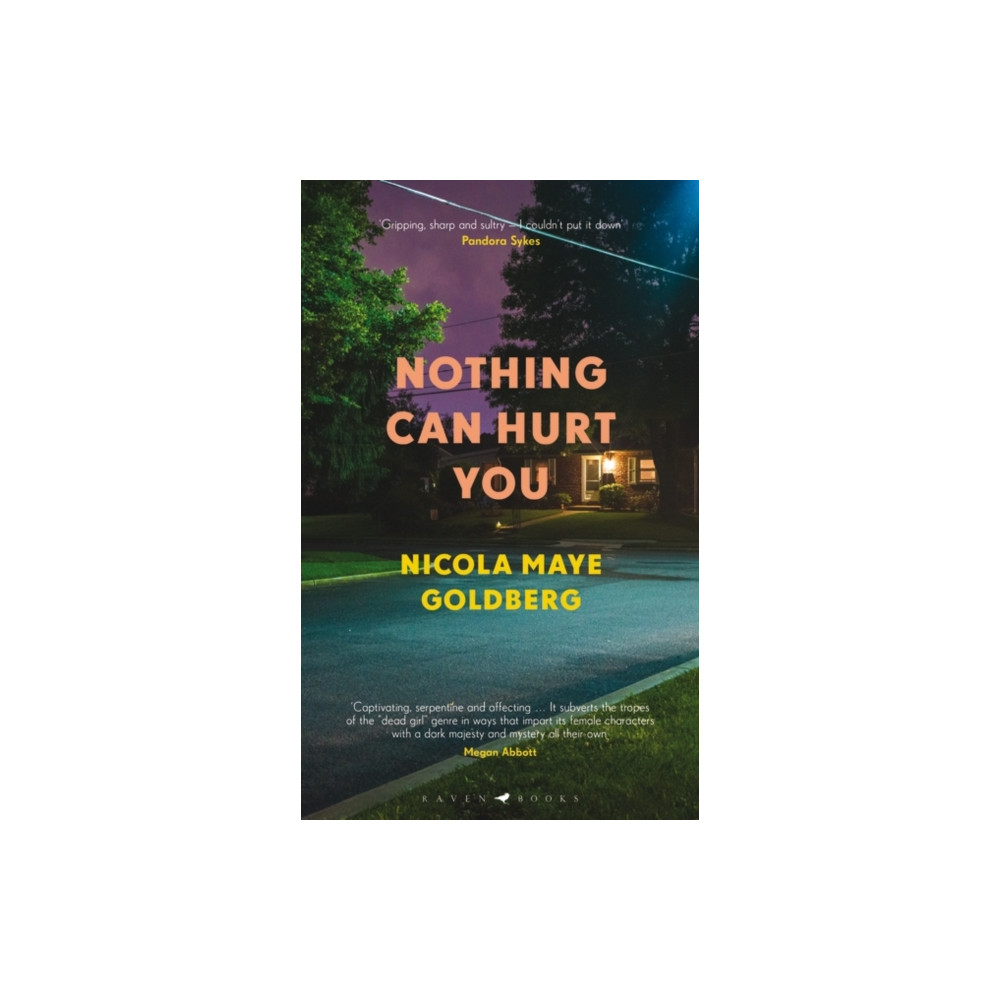 Produktbild för Nothing Can Hurt You (häftad, eng)