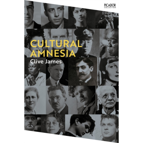 Pan Macmillan Cultural Amnesia (häftad, eng)