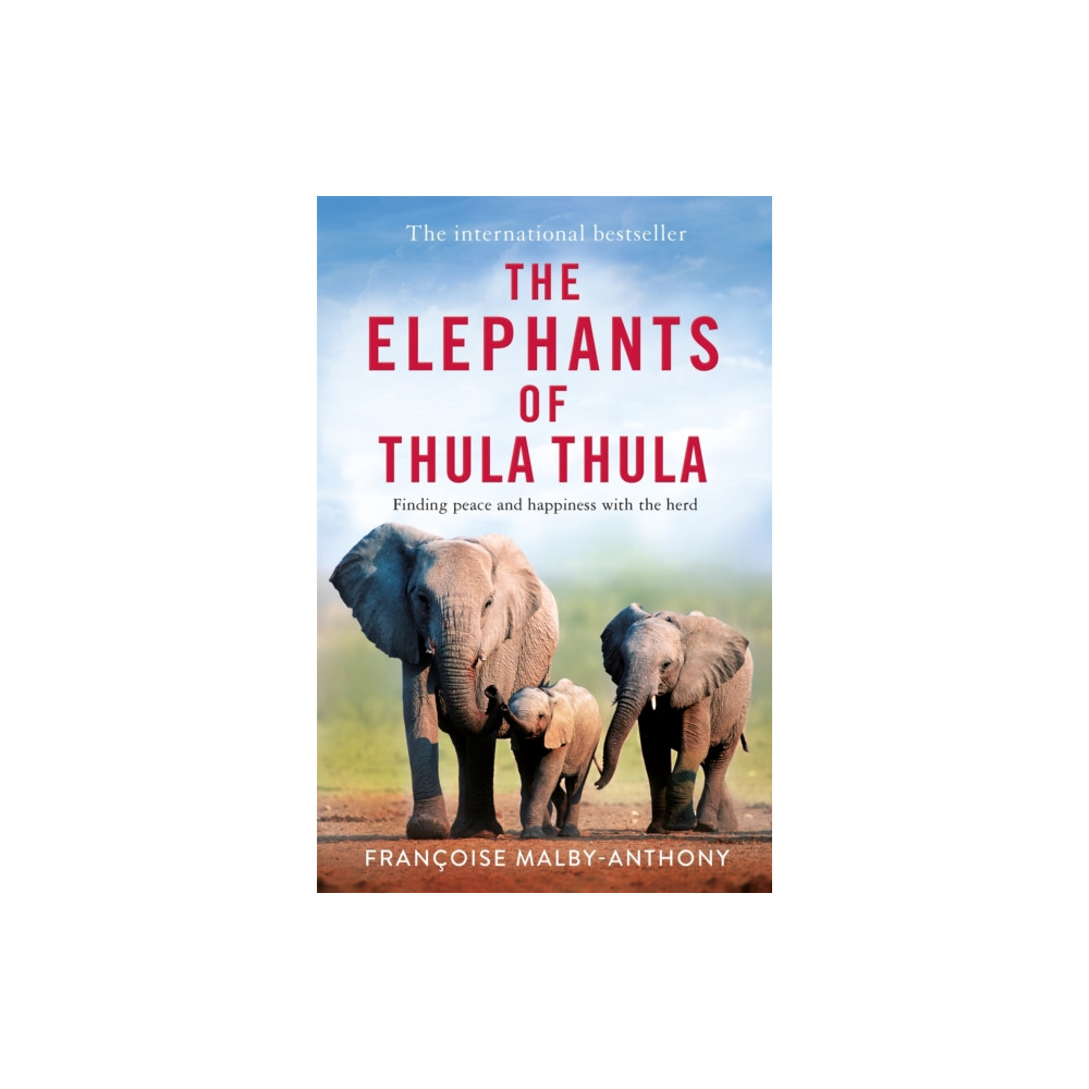 Produktbild för The Elephants of Thula Thula (häftad, eng)
