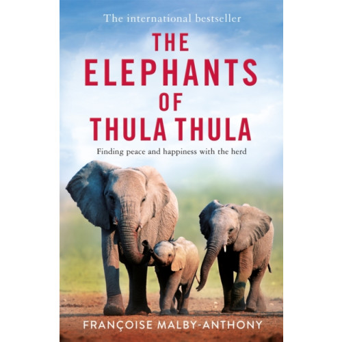 Pan Macmillan The Elephants of Thula Thula (häftad, eng)