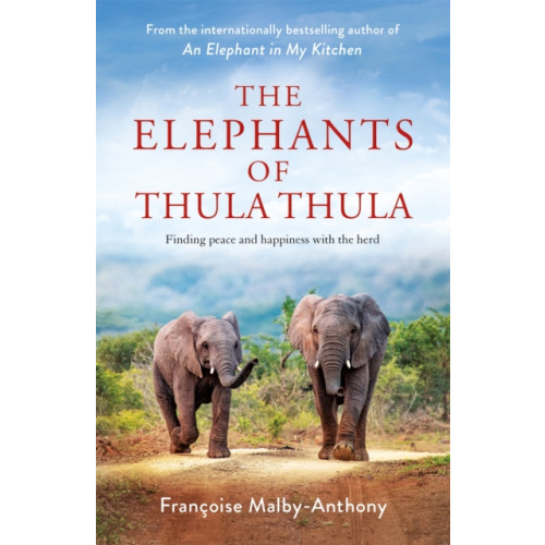 Pan Macmillan The Elephants of Thula Thula (inbunden, eng)
