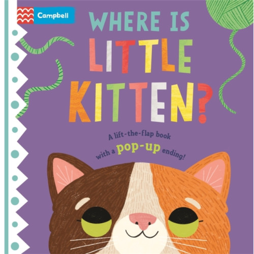 Pan Macmillan Where is Little Kitten? (bok, board book, eng)