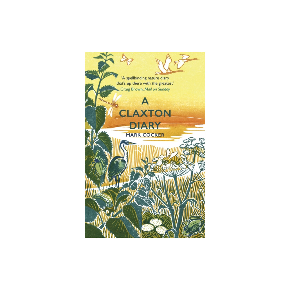 Produktbild för A Claxton Diary (häftad, eng)
