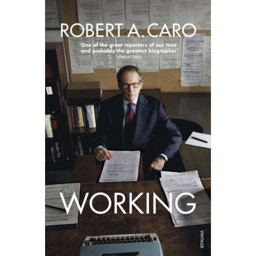 Vintage Publishing Working (häftad, eng)