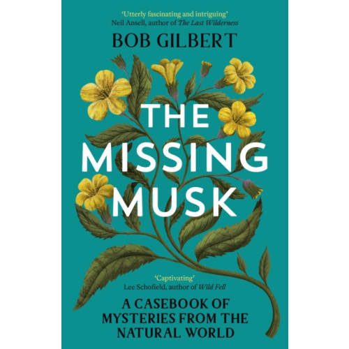 Hodder & Stoughton The Missing Musk (häftad, eng)