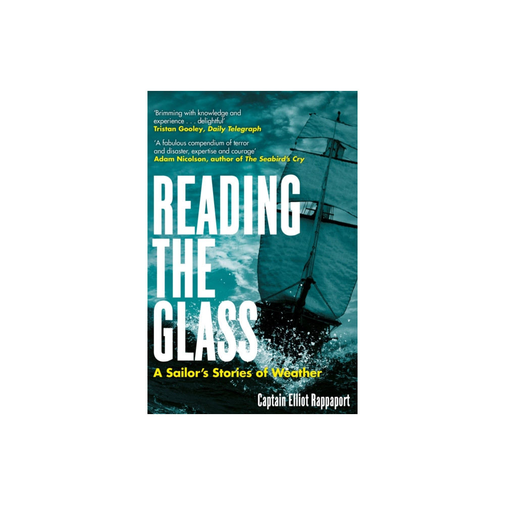 Produktbild för Reading the Glass (häftad, eng)