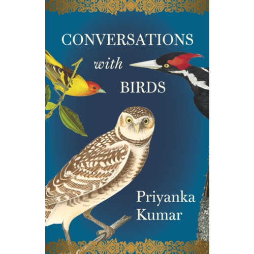 Milkweed Editions Conversations with Birds (inbunden, eng)