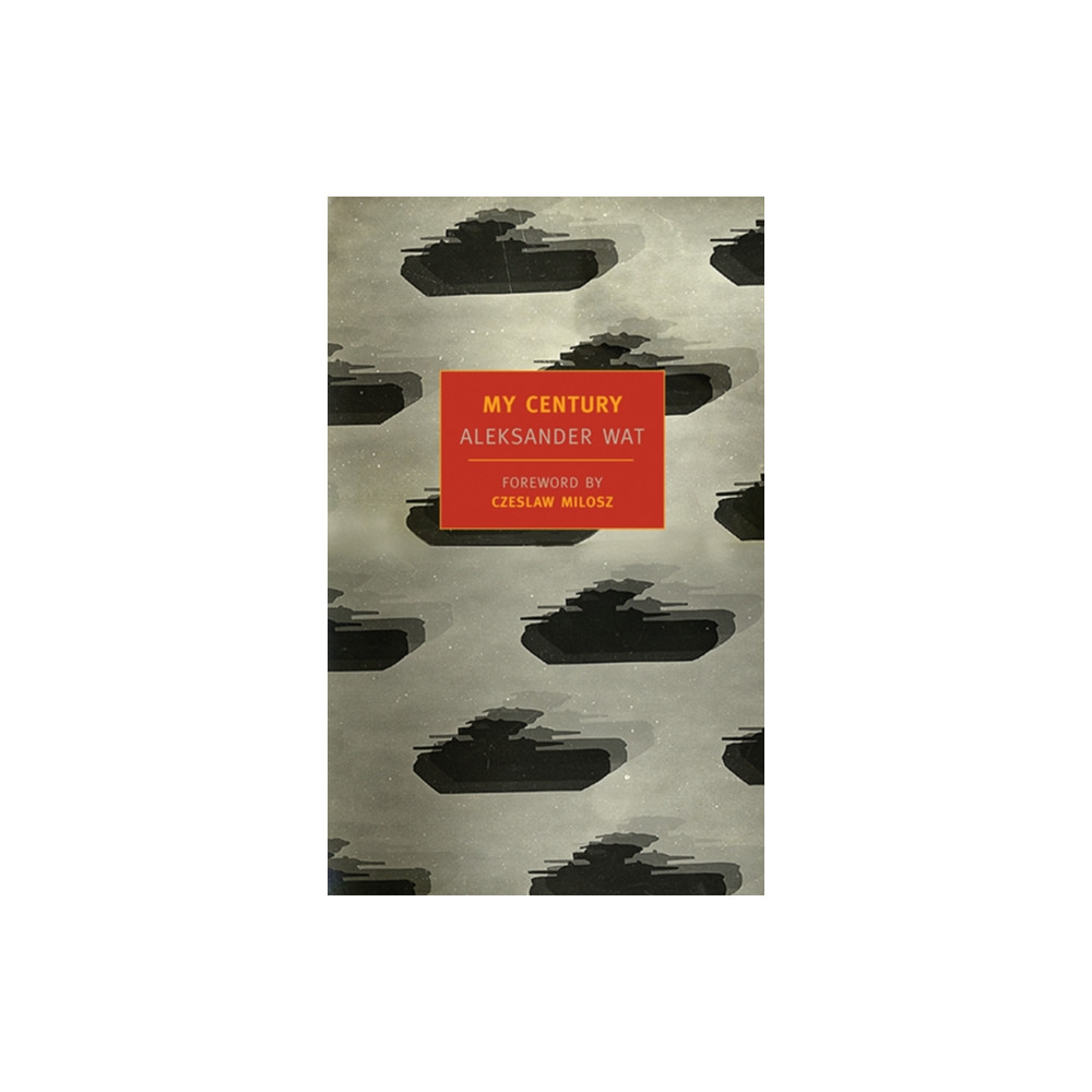Produktbild för My Century (häftad, eng)