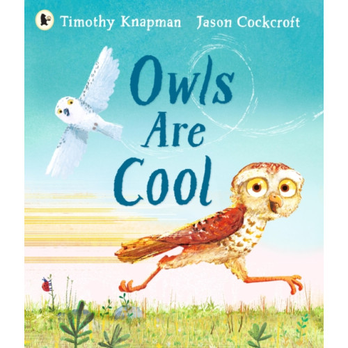 Walker Books Ltd Owls Are Cool (häftad, eng)