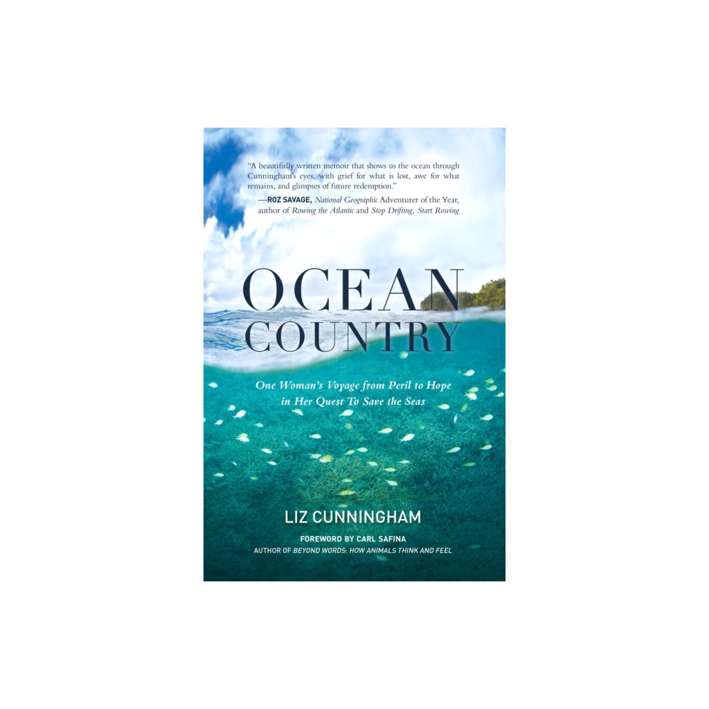 Produktbild för Ocean Country (häftad, eng)