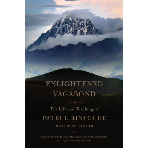 Shambhala Publications Inc Enlightened Vagabond (häftad, eng)