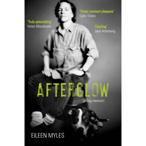 Grove Press / Atlantic Monthly Press Afterglow (häftad, eng)