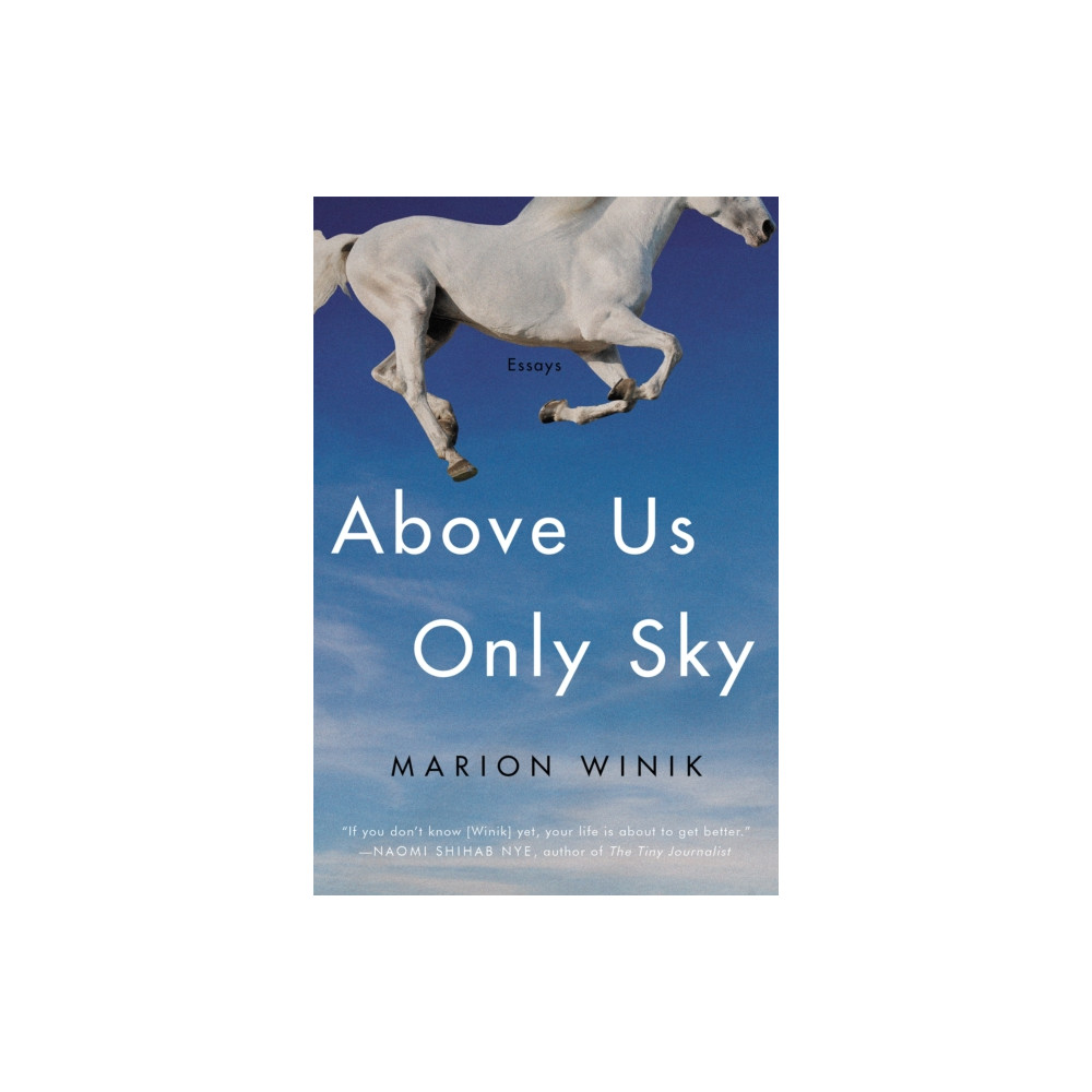 Produktbild för Above Us Only Sky (häftad, eng)