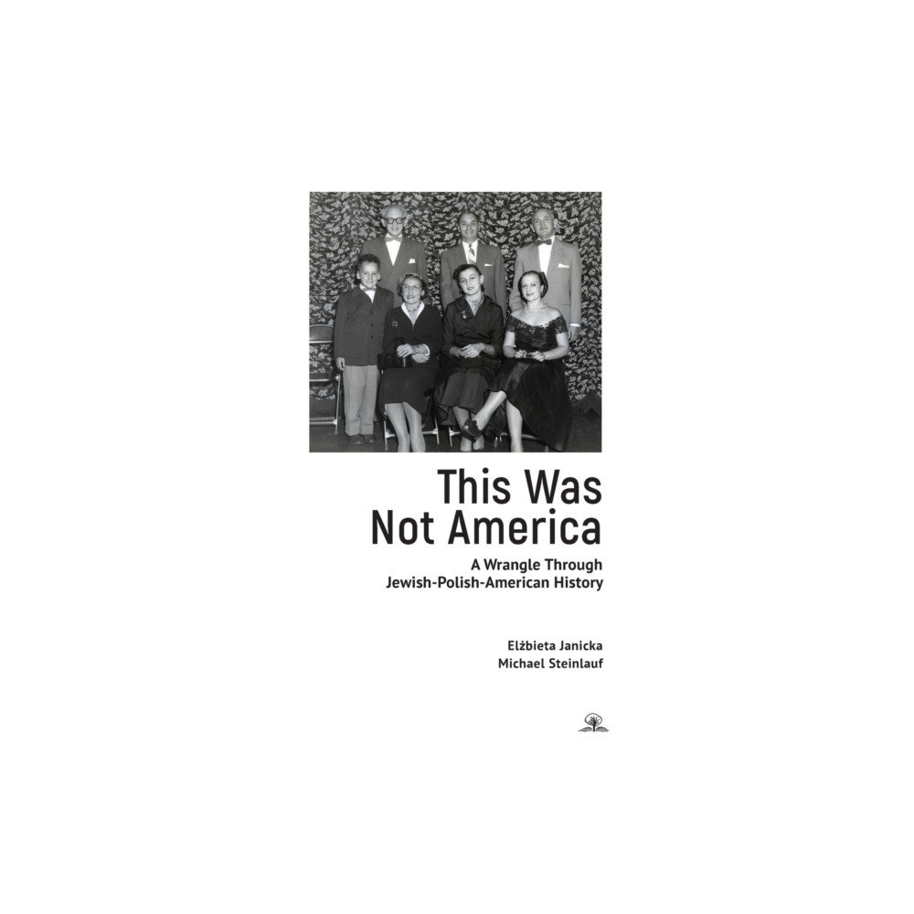 Produktbild för This Was Not America (häftad, eng)
