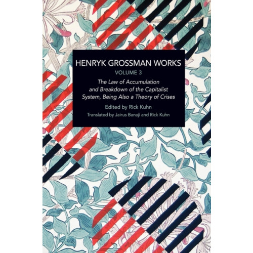 Haymarket Books Henryk Grossman Works, Volume 3 (häftad, eng)