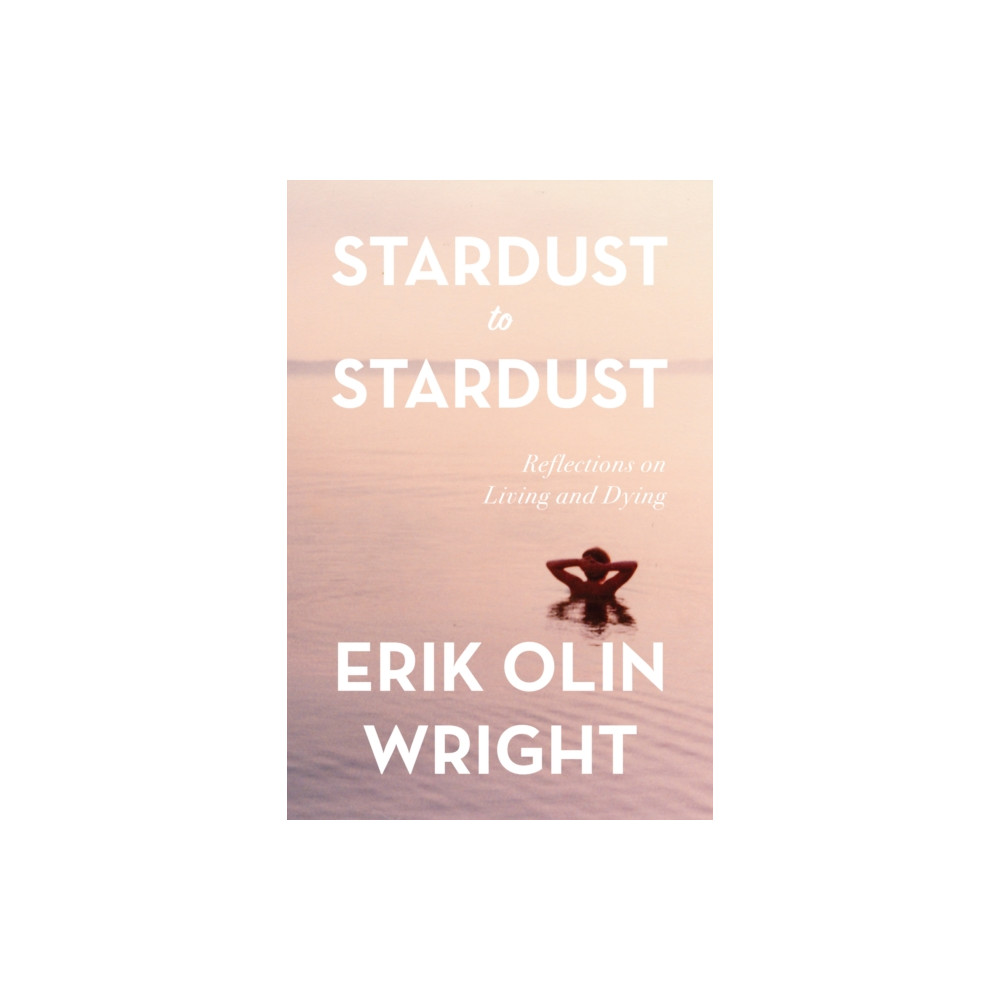 Produktbild för Stardust to Stardust (häftad, eng)