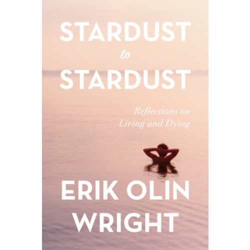 Haymarket Books Stardust to Stardust (häftad, eng)