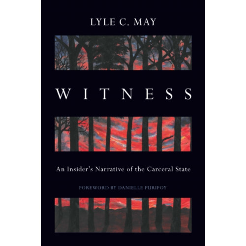 Haymarket Books Witness (häftad, eng)