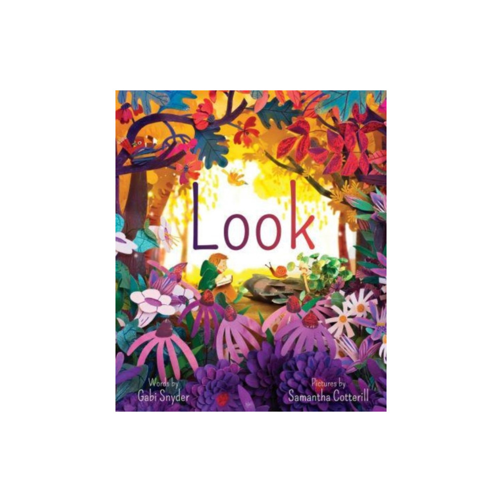 Produktbild för Look (inbunden, eng)