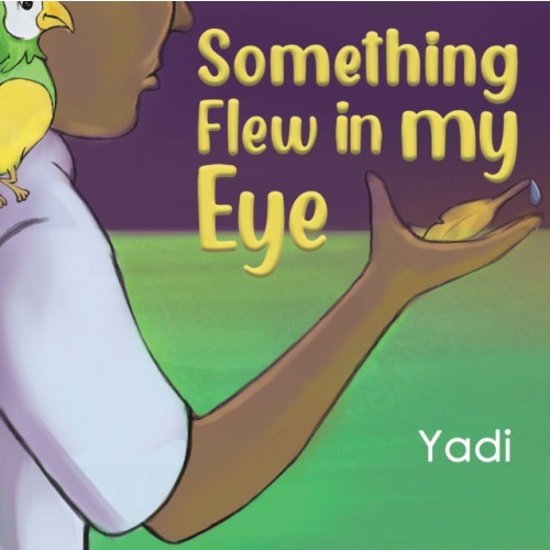 Austin Macauley Publishers LLC Something Flew in my Eye (häftad, eng)