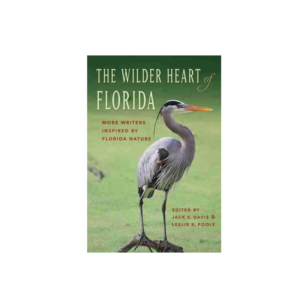 Produktbild för The Wilder Heart of Florida (inbunden, eng)