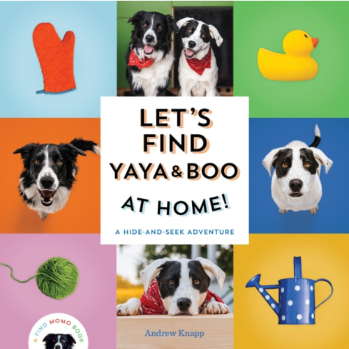 Quirk Books Let's Find Yaya and Boo at Home! (bok, board book, eng)