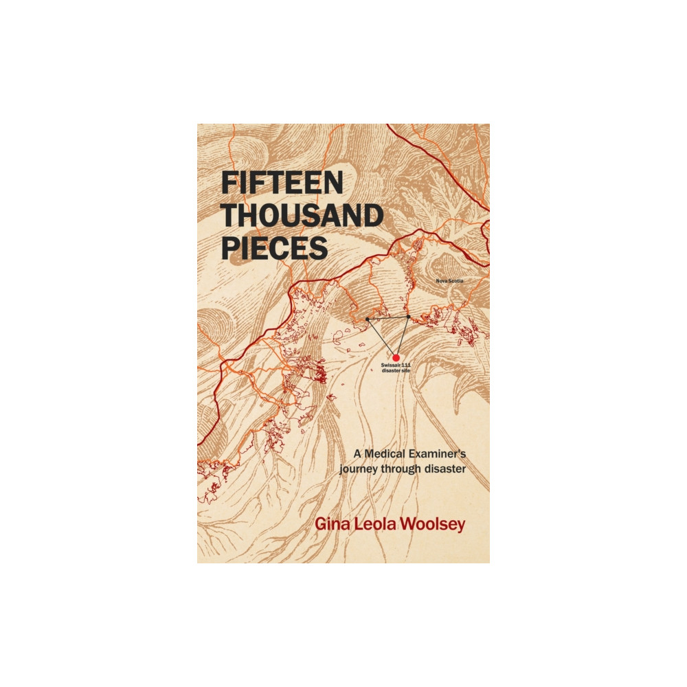 Produktbild för Fifteen Thousand Pieces (häftad, eng)