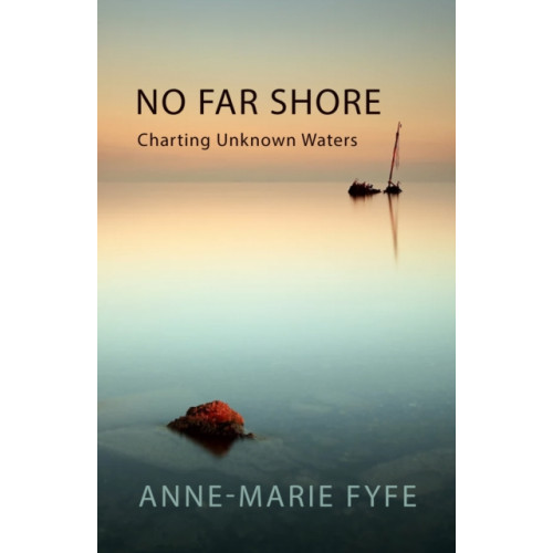 Poetry Wales Press No Far Shore (häftad, eng)