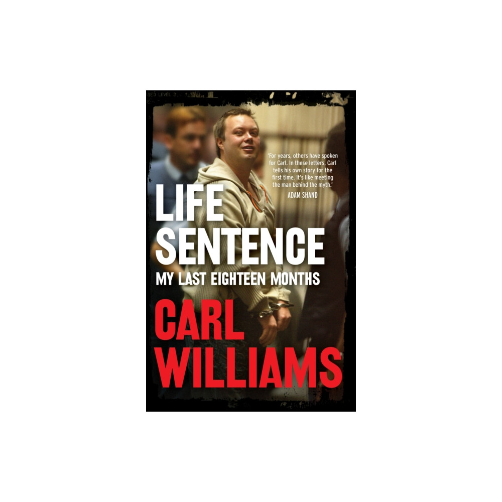 Produktbild för Life Sentence (häftad, eng)